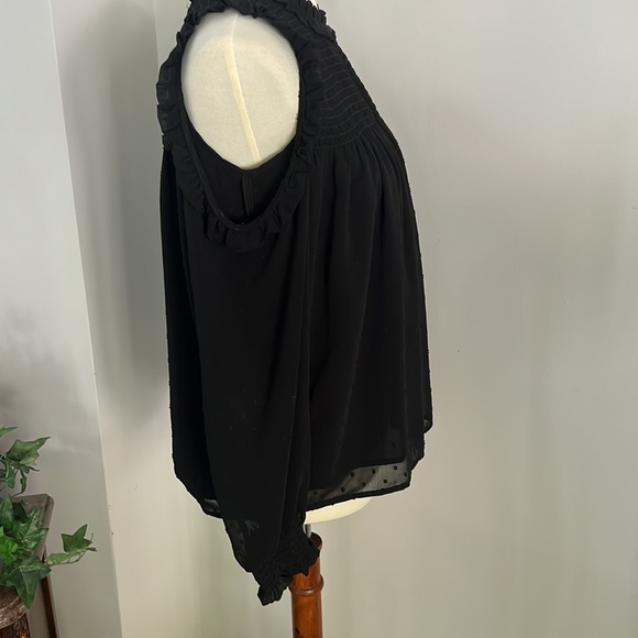 Anthropology Wishmaker Swiss Dot Open Blouse. - Picture 8 of 15